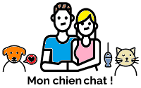 Monchienchat