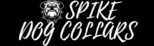 Spiked Dog Collars
